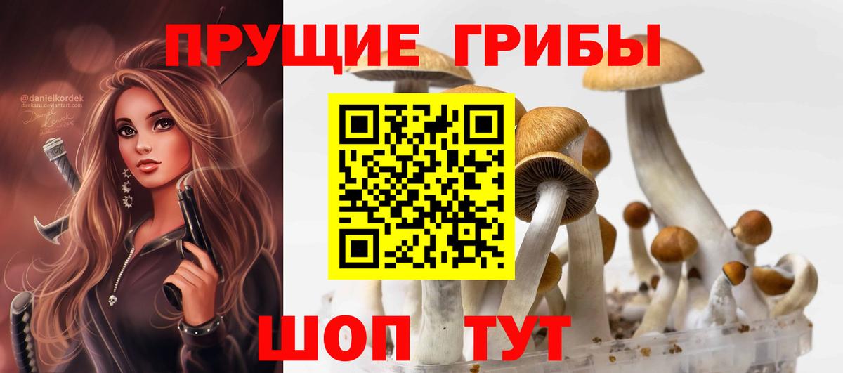 Галлюциногенные грибы мицелий Майкоп
