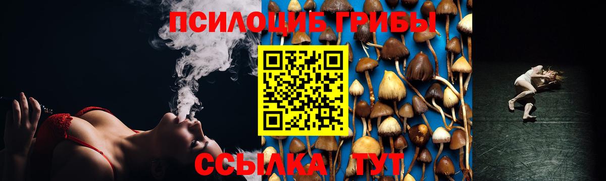 Майкоп  Псилоцибиновые грибы GOLDEN TEACHER  Галлюциногенные грибы Cubensis  Вход с VPN 
