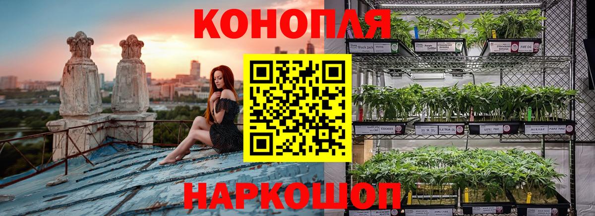 Конопля гибрид  Бошки Шишки тримм  Майкоп  Шишки марихуана сатива  Вход с VPN  Марихуана LSD WEED 